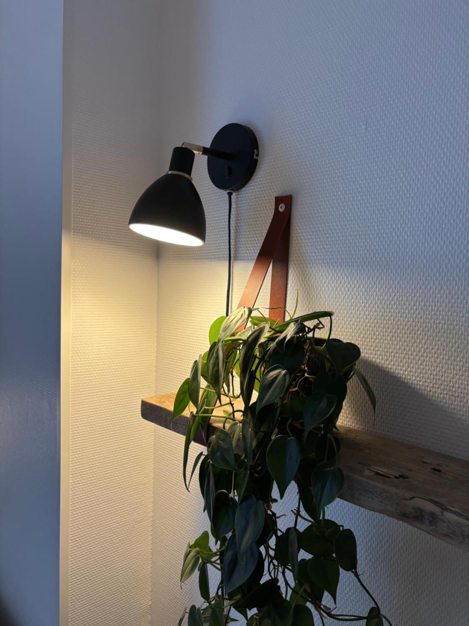 Apartment Bolding